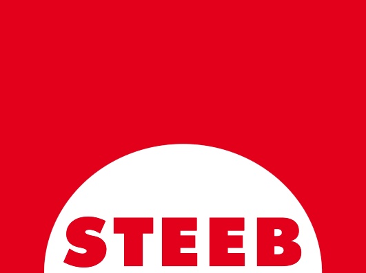 Steeb Logo